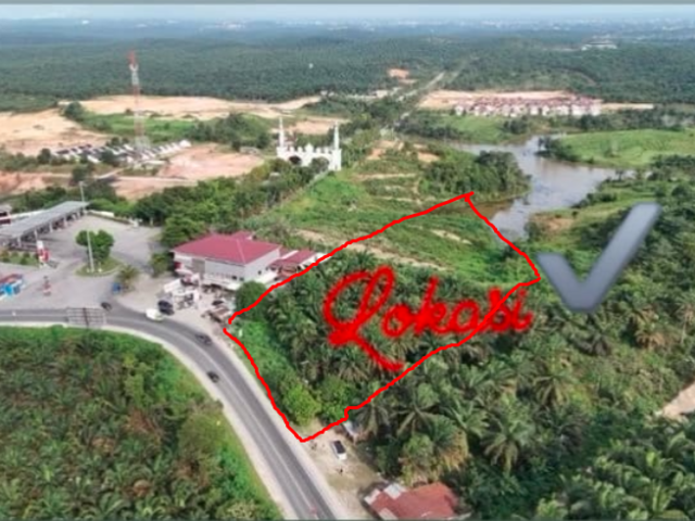 🏞️ DIJUAL TANAH LUAS MURAH DI KABUPATEN PELALAWAN RIAU – LOKASI STRATEGIS