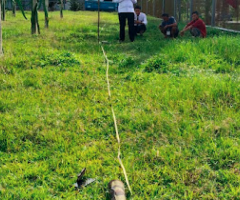 Jasa Geolistrik Calang Profesional – Deteksi Air Tanah Akurat | WA 085274510548