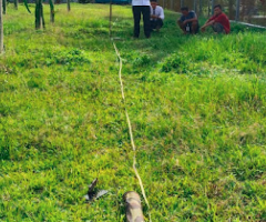 Jasa Geolistrik Idi Rayeuk Profesional – Deteksi Air Tanah Akurat | WA 085274510548